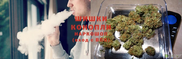 герыч Козельск