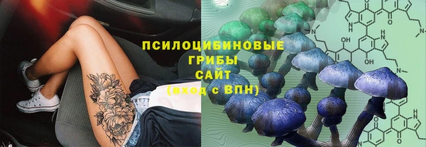 мдпв Киреевск